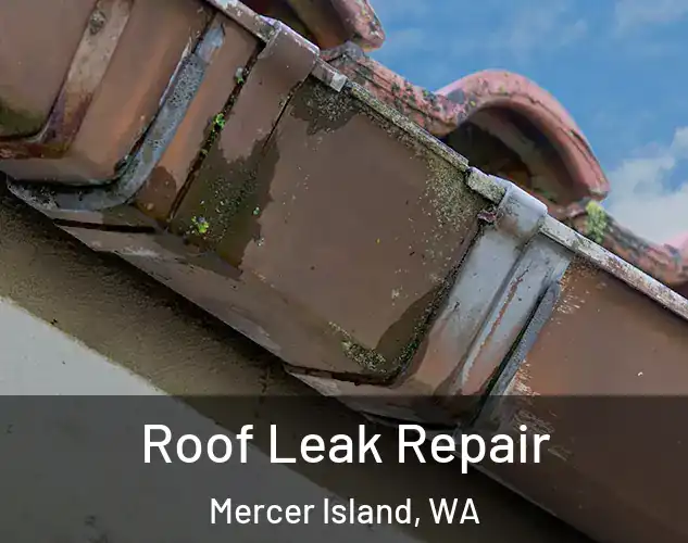  Roof Leak Repair Mercer Island, WA